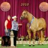 CLASSICS LAST FOREVR aka "LEXIE"  is a magnificent 17.1h 2006 AQHA/PHBA  I.F. Palomino mare.  Sired by the GREAT KIDS CLASSIC STYLE and out of a 16h, massive daughter of AT LONG LAST ( 4X World Champion). VERY proudly Owned, Shown & Loved by Eagle Ridge Farm.