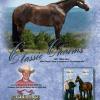 CLASSIC CHARMS is a 2007 AQHA I.F. rich, dark Bay filly sired by  KIDS CLASSIC STYLE and out of a daughter of Touchdown Kid x Playgirls Conclusion.   
Proudly owned, fit and shown by Michael Brown